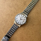 Omega - Seamaster Ref 166.0202 - 1974