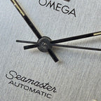 Omega - Seamaster Ref 166.0202 - 1974